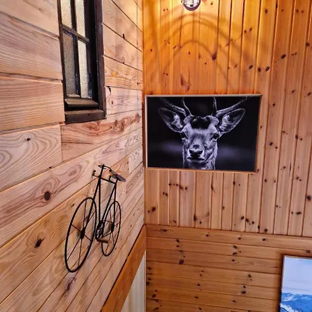 Albriet - Magnifique 14 Personnes En Duplex Mae-3774 * Modane